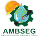 AMBSEG ENGENHARIA